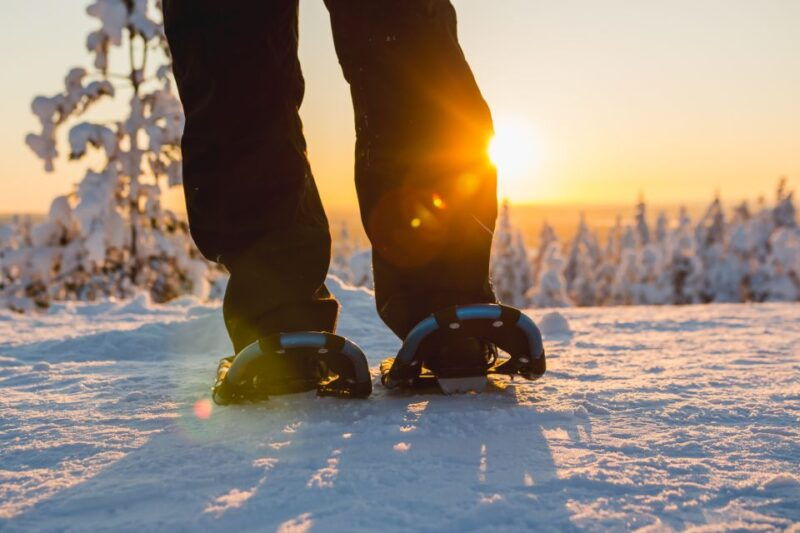 rovaniemi-guided-lappish-wilderness-snowshoeing-adventure