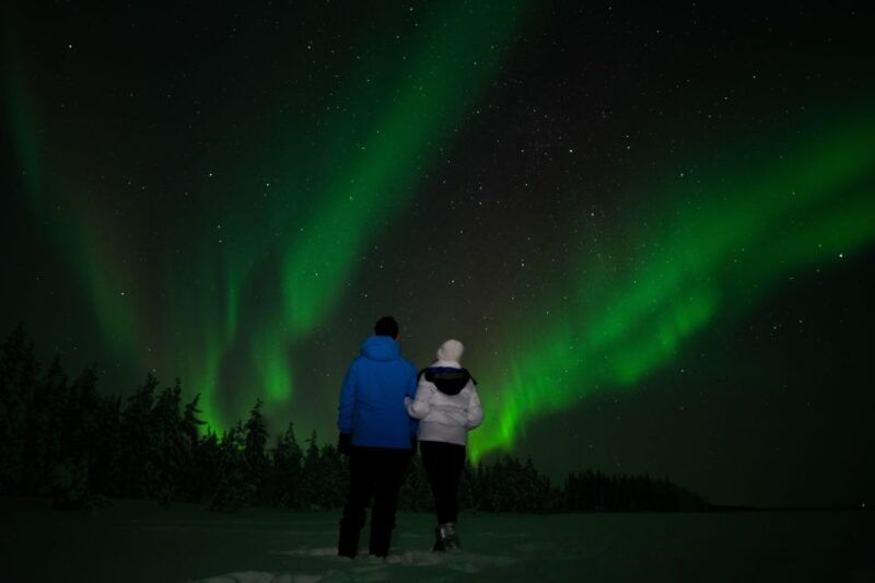 rovaniemi-guided-northern-lights-tour