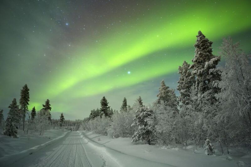 rovaniemi-guided-northern-lights-tour