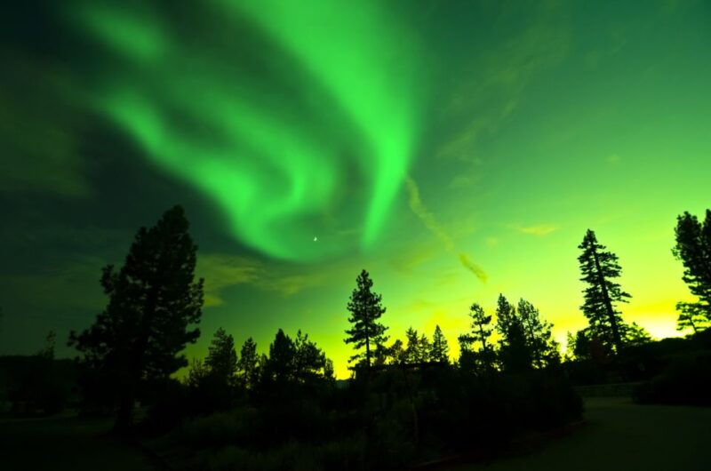rovaniemi-guided-northern-lights-tour