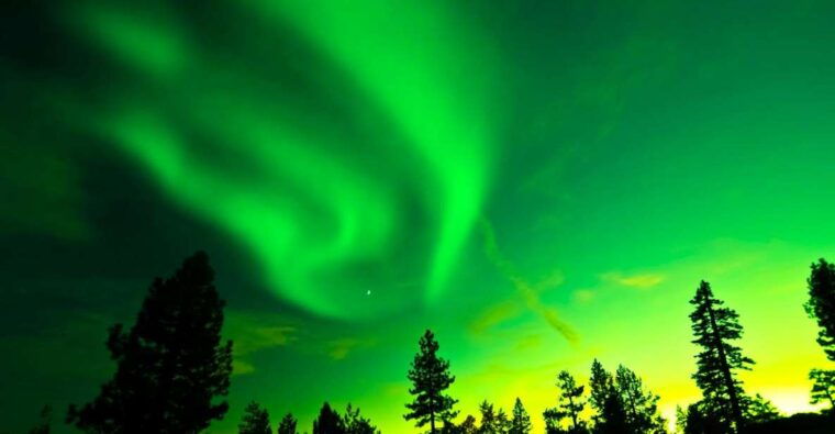 rovaniemi-guided-northern-lights-tour