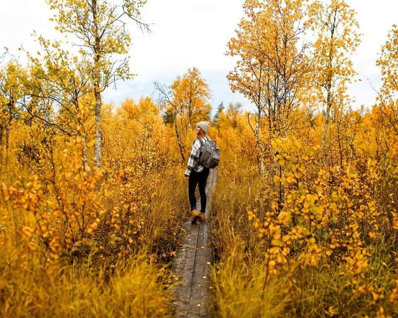 Rovaniemi: Guided tour in Arctic Circle Trekking area - Why This Tour Offers Real Value