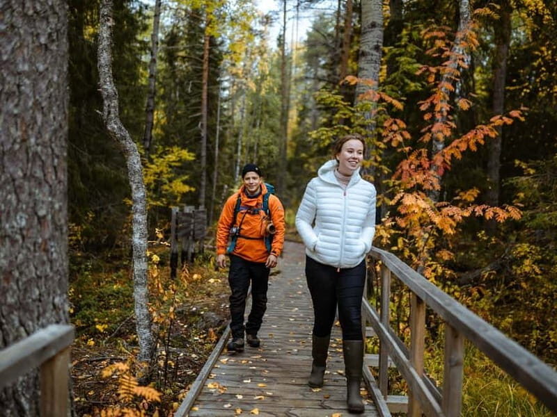 Rovaniemi: Guided tour in Arctic Circle Trekking area - Final Thoughts