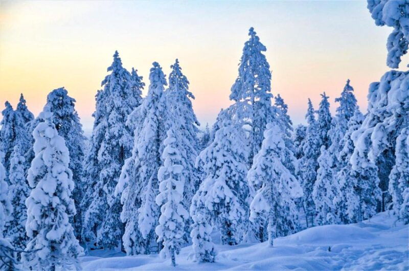 rovaniemi-guided-wilderness-snowmobile-ride