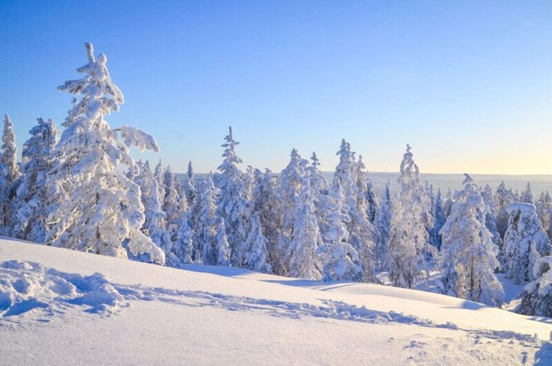 rovaniemi-guided-wilderness-snowmobile-ride