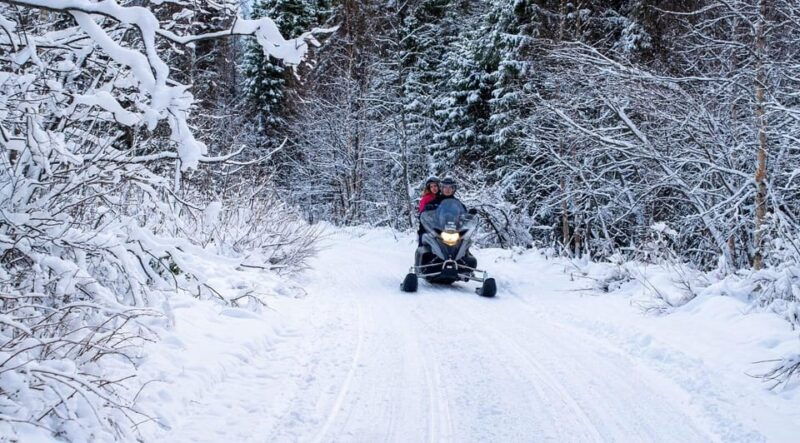 rovaniemi-guided-wilderness-snowmobile-safari-barbeque
