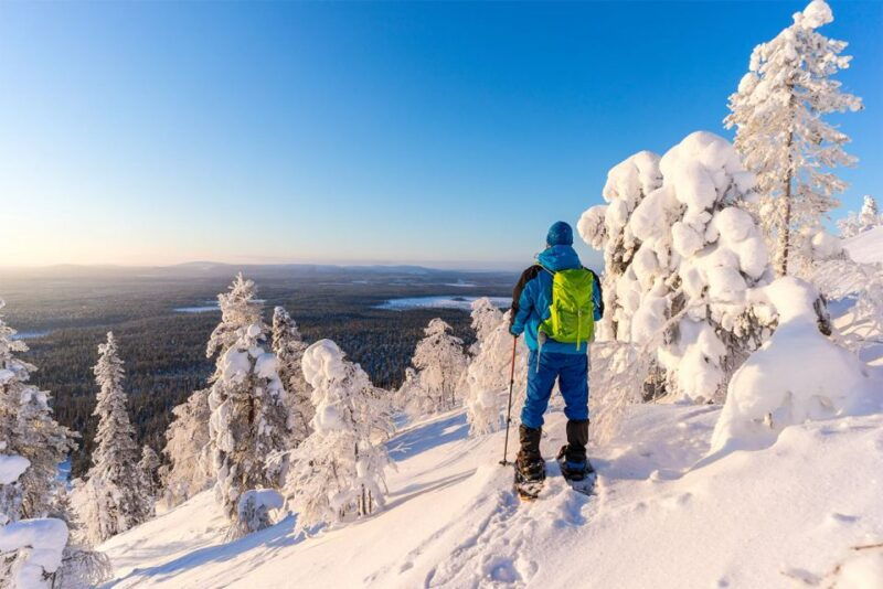 rovaniemi-hiking-and-snowshoeing-adventure-in-lapland