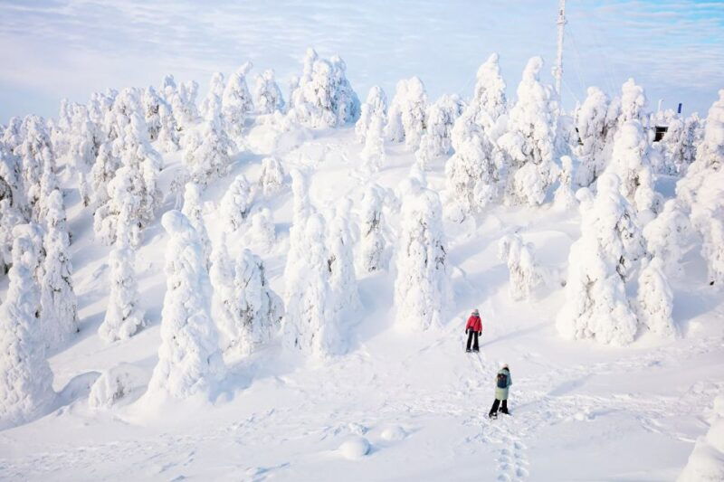 rovaniemi-hiking-and-snowshoeing-adventure-in-lapland