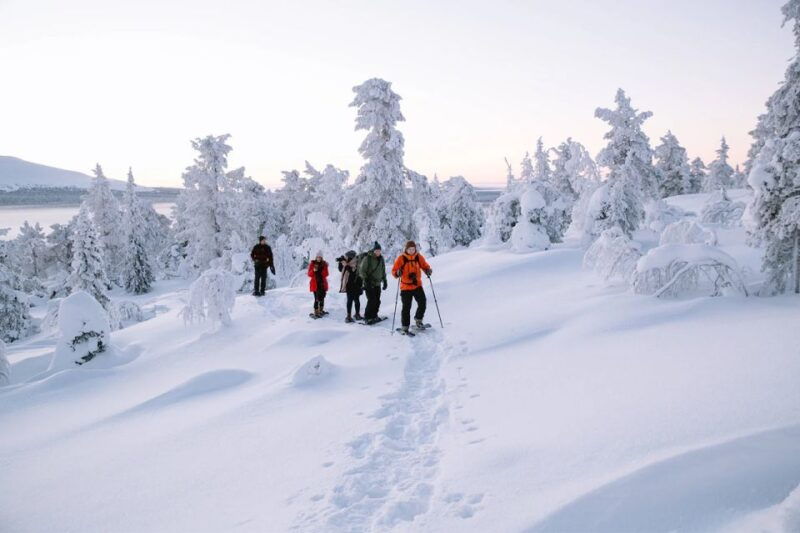rovaniemi-hiking-and-snowshoeing-adventure-in-lapland