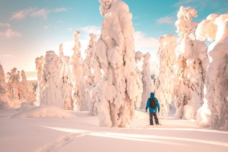 rovaniemi-hiking-and-snowshoeing-adventure-in-lapland