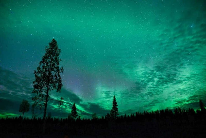 Rovaniemi: Horse Sleigh Ride under the Night Sky - Key Points
