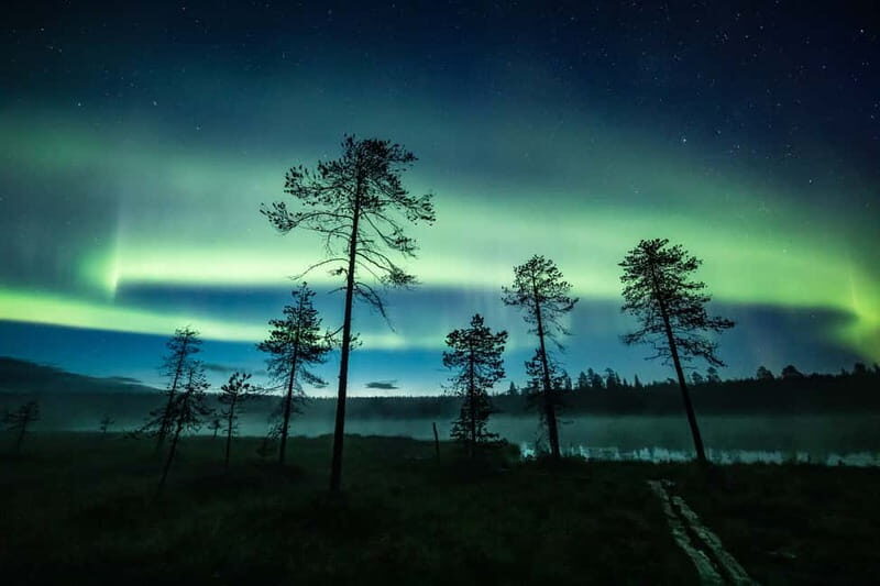 Rovaniemi: Horse Sleigh Ride under the Night Sky - Who Should Consider This Experience?