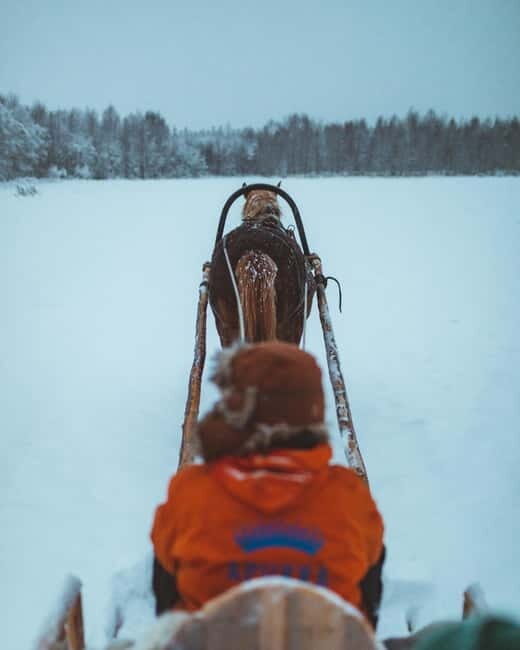 Rovaniemi: Horse Sleigh Ride under the Night Sky - FAQ