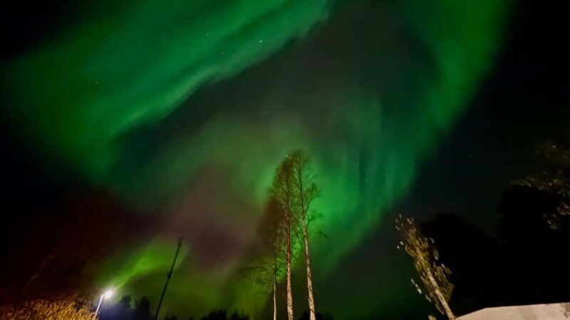 Rovaniemi: hunting for the Northern Lights with BBQ - Timing, Duration, and Price