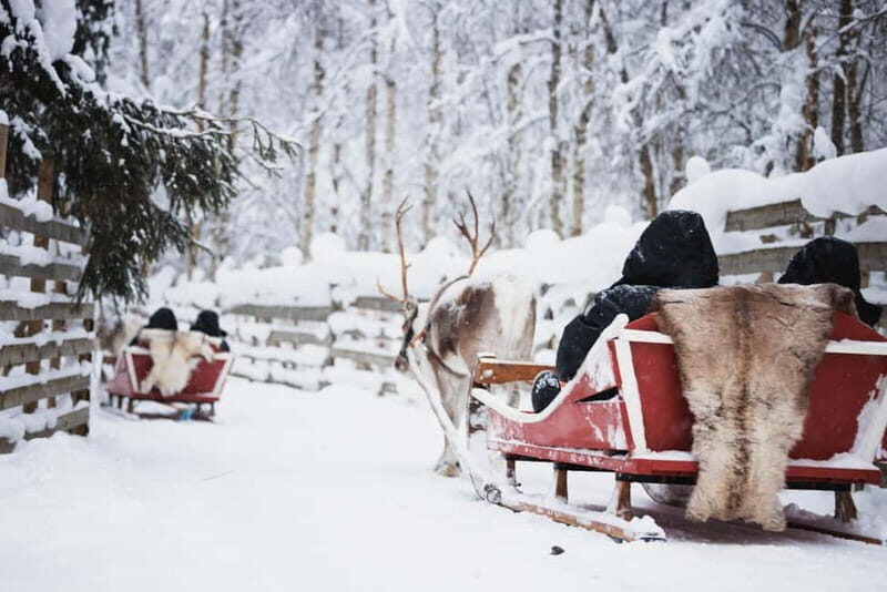 Rovaniemi: Husky Farm and Reindeer Experience - What We Think About the Value