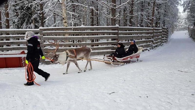 Rovaniemi: Husky Farm and Reindeer Experience - Final Thoughts