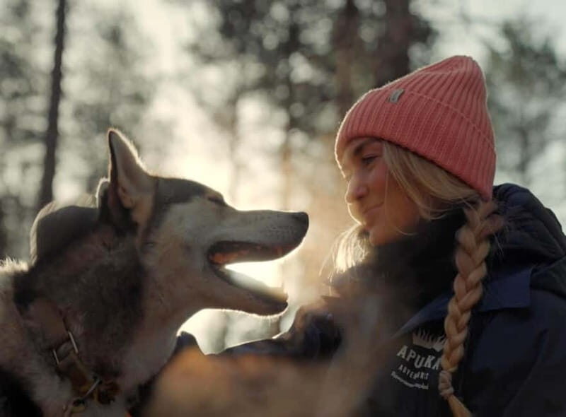Rovaniemi: Husky Farm Visit - A detailed look at the husky farm visit in Rovaniemi