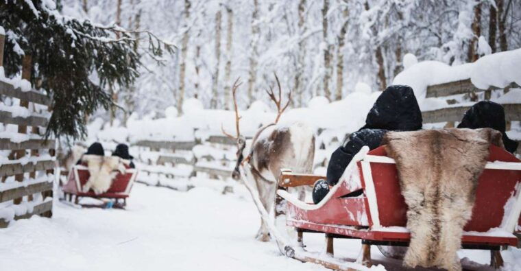 rovaniemi-husky-park-and-reindeer-farm-combo