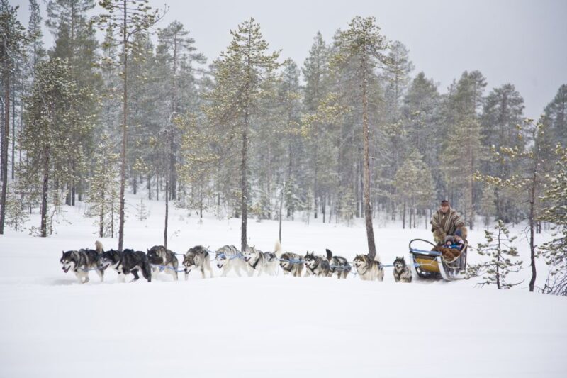 Rovaniemi: Husky & Reindeer Experience with Snowmobile Ride - FAQs