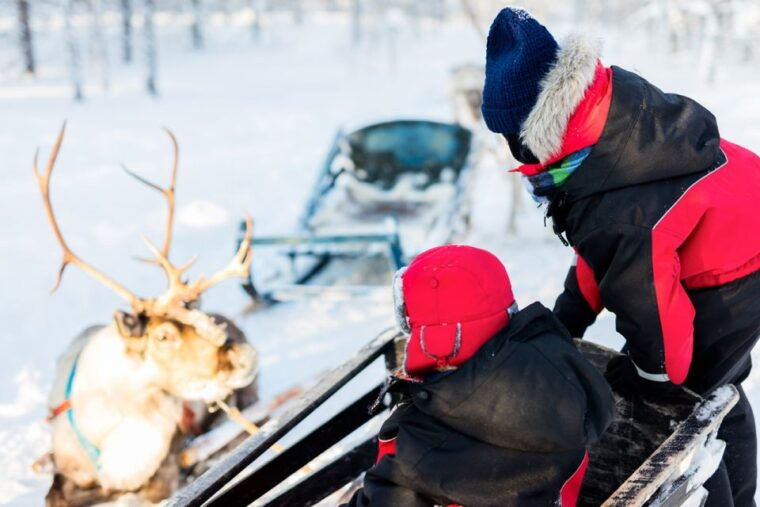 rovaniemi-husky-reindeer-farm-visit-with-snowmobile-ride