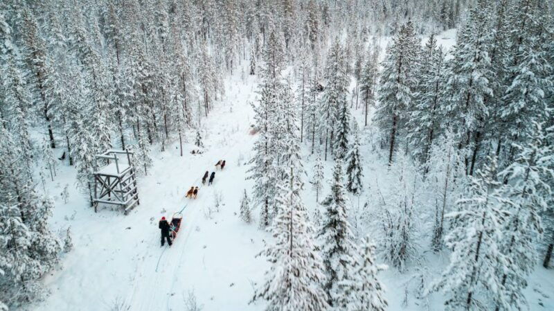 rovaniemi-husky-safari-and-snowmobile-experience