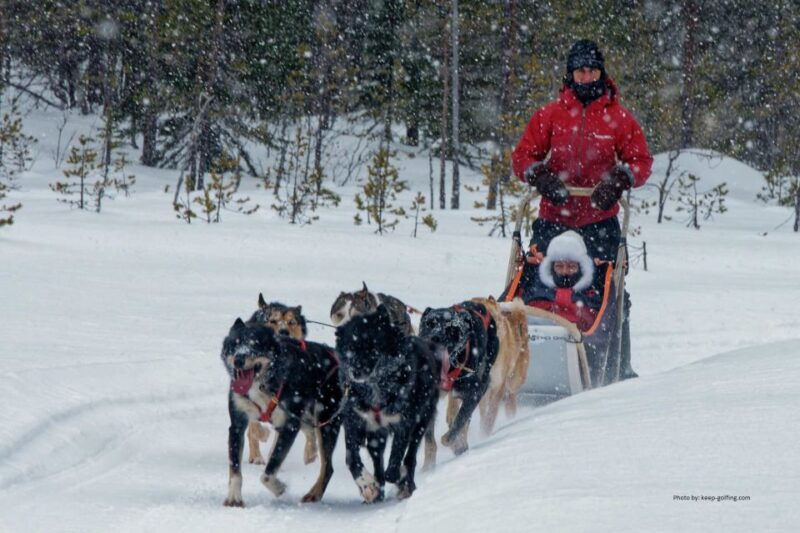 rovaniemi-husky-safari-and-snowmobile-experience