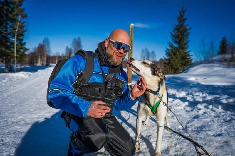 Rovaniemi: Husky Safari & Campfire BBQ  610 km SelfDrive - Authentic Encounters with Lapland’s Wildlife