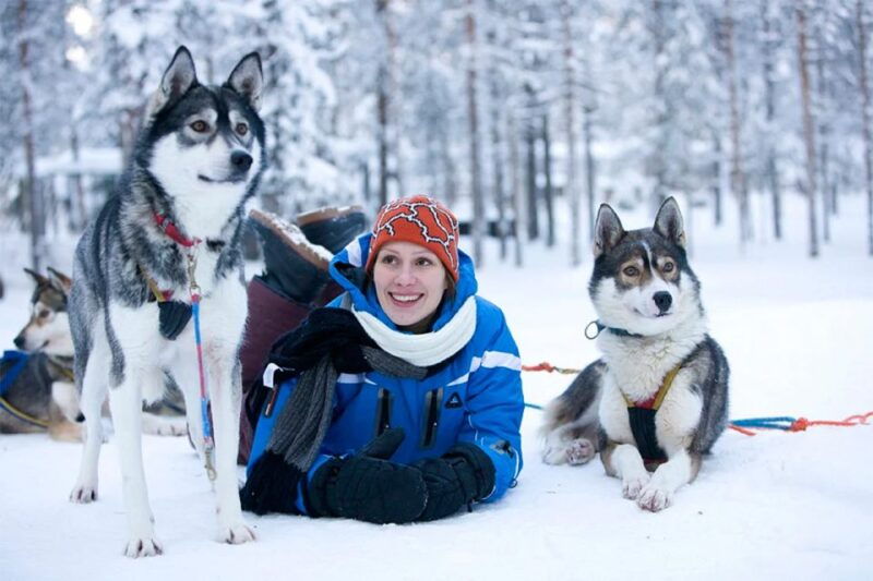 rovaniemi-husky-safari-on-a-snowy-trail