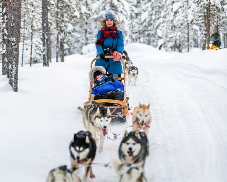 rovaniemi-husky-safari-on-a-snowy-trail