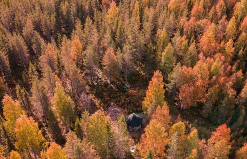 rovaniemi-husky-safari-tour-6-10-km-self-driving-mushing-2