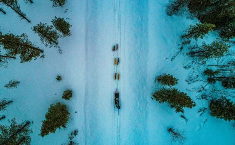 rovaniemi-husky-safari-tour-6-10-km-self-driving-mushing-3