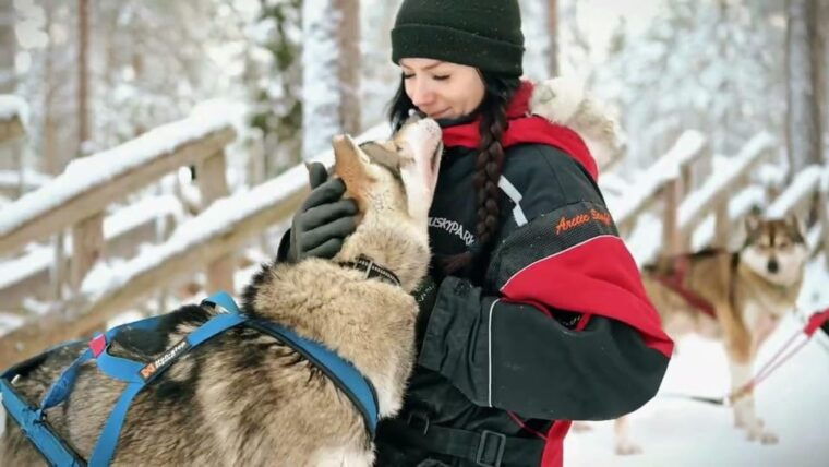 rovaniemi-husky-sled-ride-and-farm-visit-2