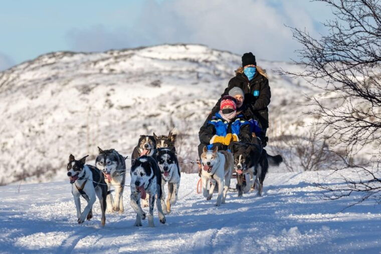 rovaniemi-husky-sled-ride-and-farm-visit-2