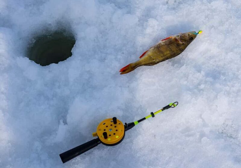 Rovaniemi: Ice Fishing, Private Sauna & Salmon Soup - Authentic Arctic Adventure for Curious Travelers
