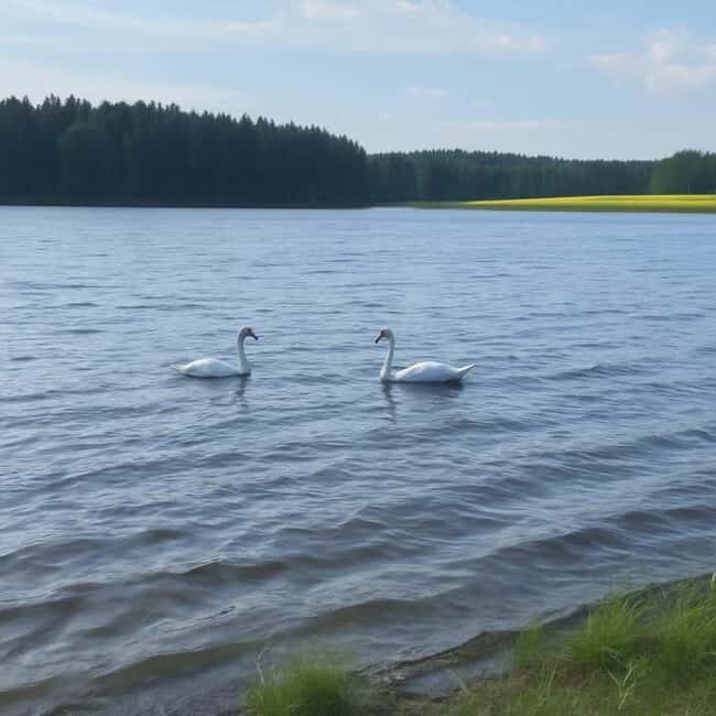 Rovaniemi: Insider Arctic Birdwatching Tour - Rovaniemi: Insider Arctic Birdwatching Tour Review