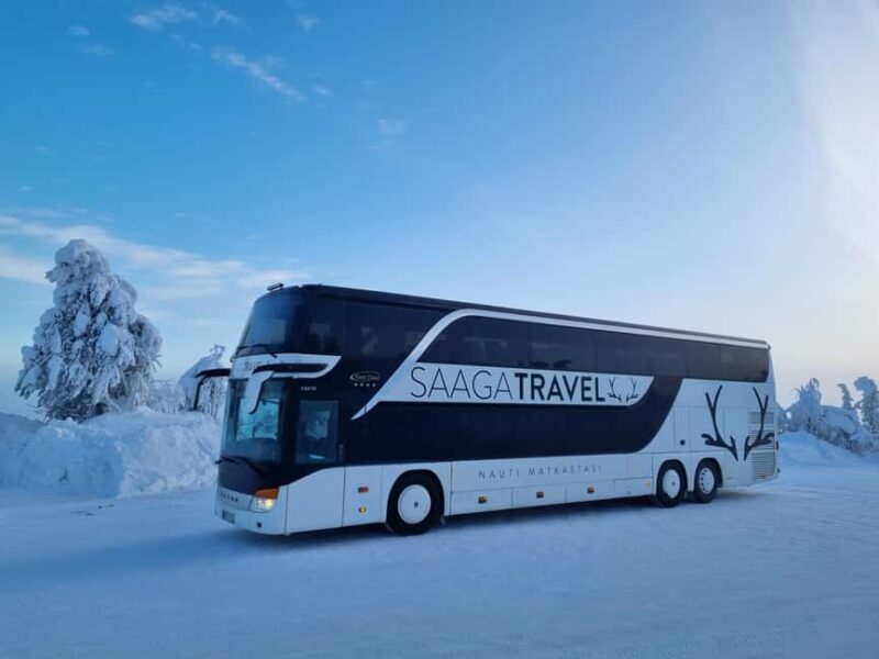 Rovaniemi: Insider Northern Lights Bus with Drinks & Snacks - What’s Included & What’s Not