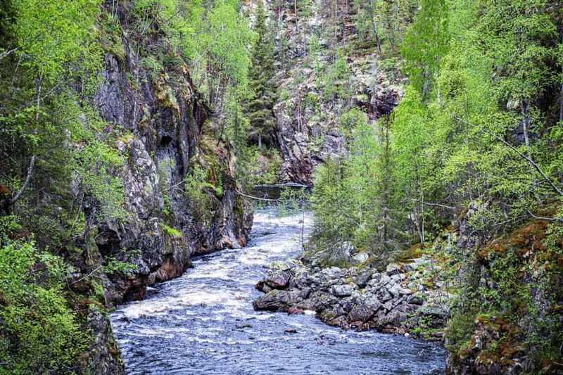 Rovaniemi: Korouoma Canyon and Auttiköngäs Falls Tour - The Initial Scenic Drive and Korouoma Canyon