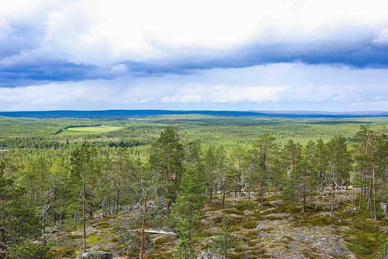 Rovaniemi: Korouoma Canyon and Auttiköngäs Falls Tour - Who Will Love This Tour?