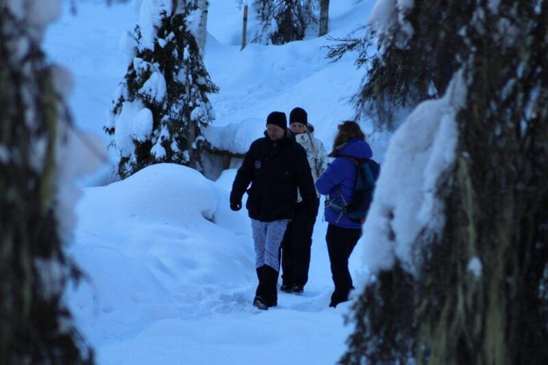 rovaniemi-korouoma-canyon-and-frozen-waterfalls-tour