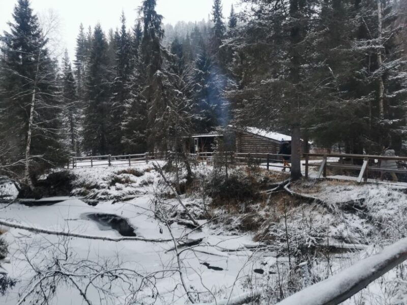 rovaniemi-korouoma-canyon-frozen-waterfalls-guided-hike-2