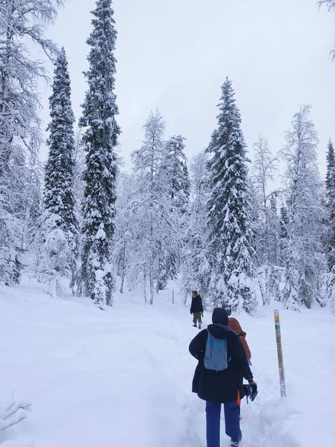 rovaniemi-korouoma-canyon-frozen-waterfalls-guided-hike-2