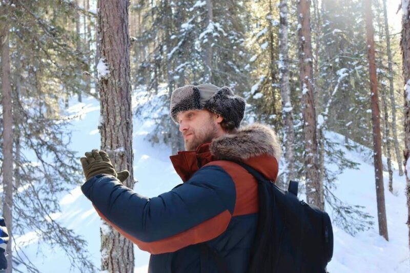 rovaniemi-korouoma-canyon-frozen-waterfalls-guided-hike-2