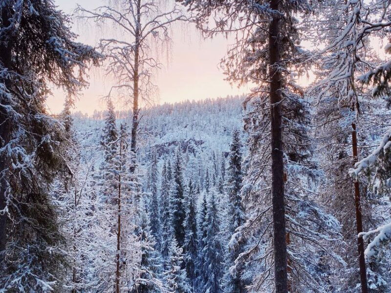rovaniemi-korouoma-canyon-frozen-waterfalls-hiking-and-bbq