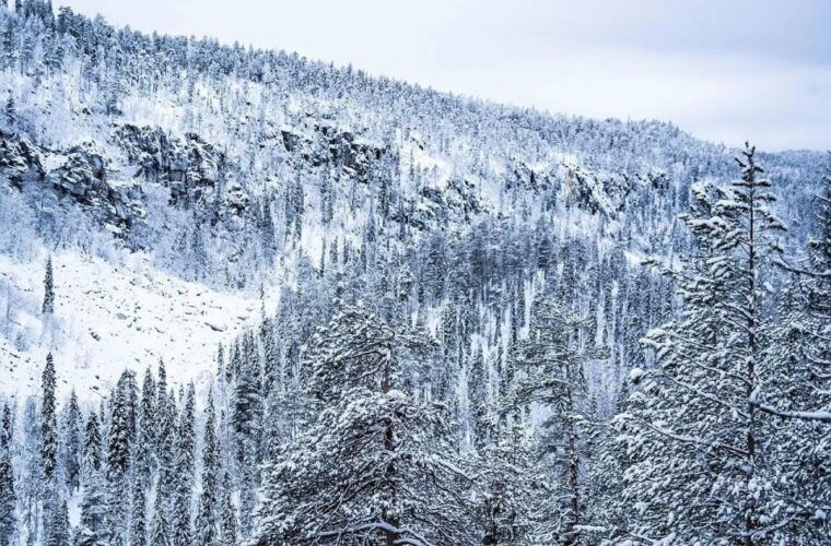 rovaniemi-korouoma-canyon-frozen-waterfalls-tour-with-bbq-2