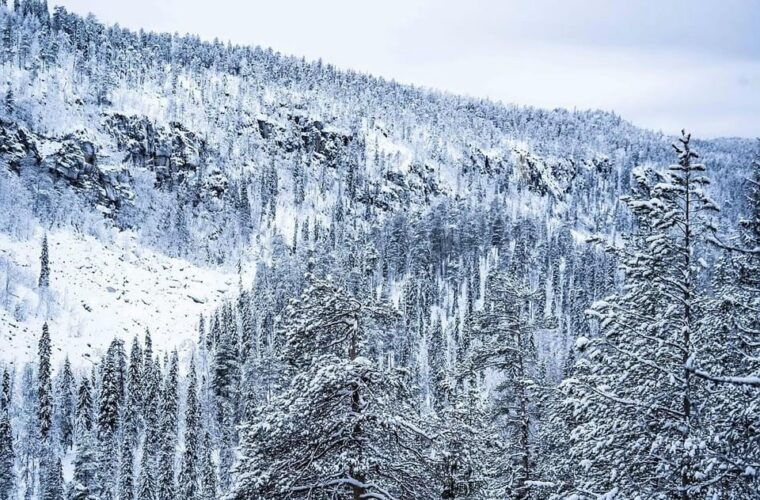 rovaniemi-korouoma-canyon-frozen-waterfalls-tour-with-bbq-2