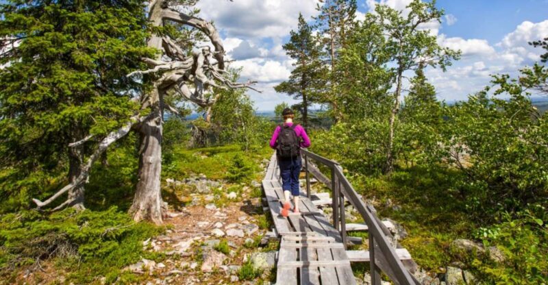 Rovaniemi: Korouoma Canyon Hike and Barbecue Experience - Rovaniemi: Korouoma Canyon Hike and Barbecue Experience