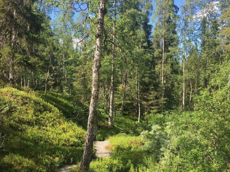 Rovaniemi: Korouoma Canyon Hike and Barbecue Experience - Practical Details and What to Prepare