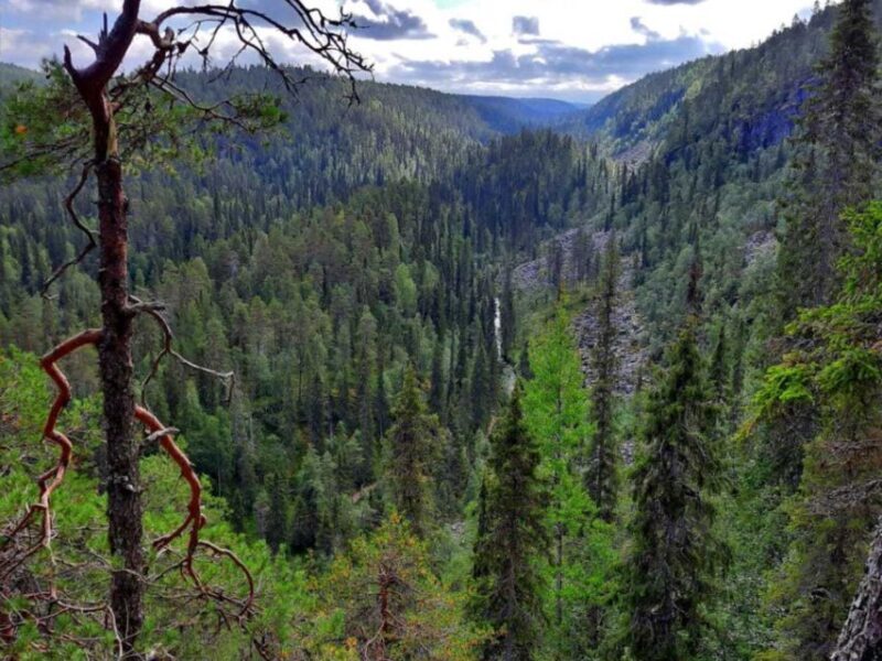 Rovaniemi: Korouoma Canyon Hike and Barbecue Experience - Why This Tour Is Worth Considering