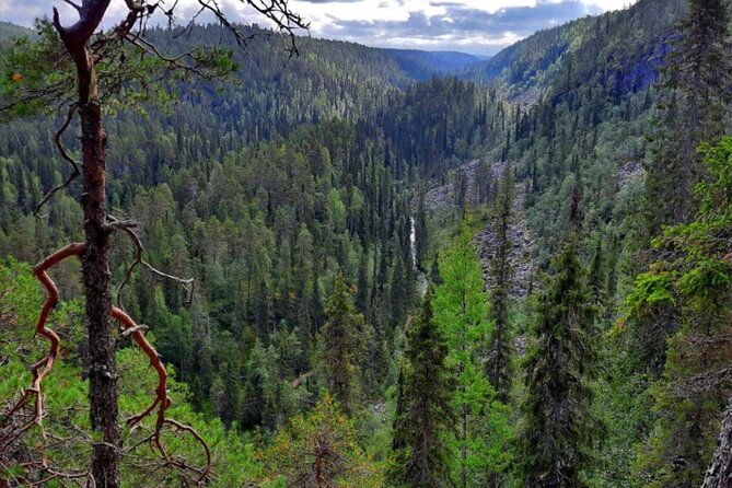 rovaniemi-korouoma-canyon-waterfalls-tour-with-bbq-2