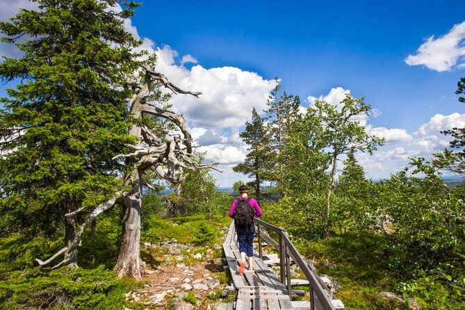rovaniemi-korouoma-canyon-waterfalls-tour-with-bbq-2